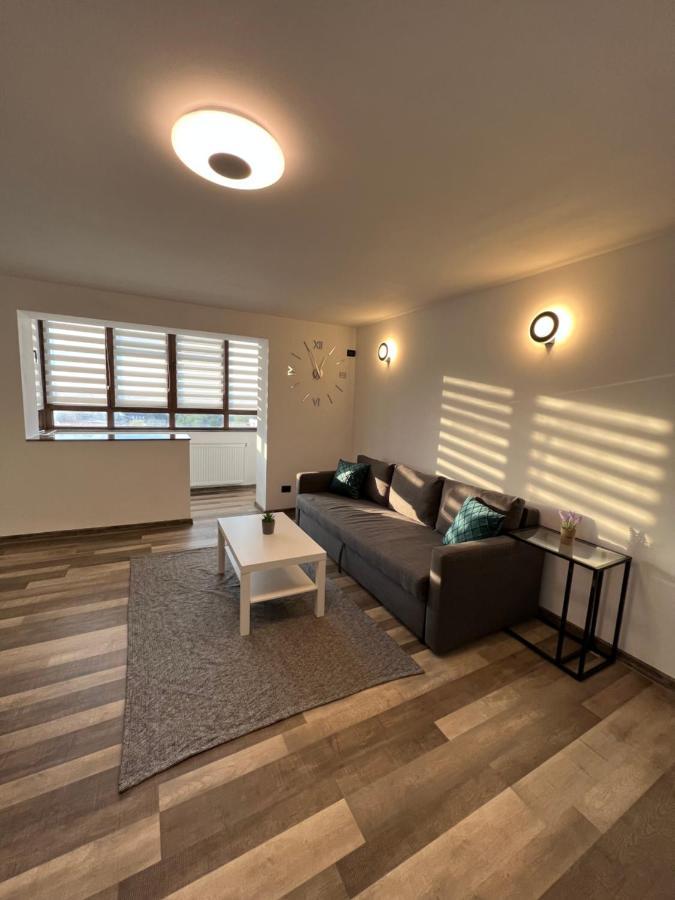 Sunny Luxury Home G. Enescu Suceava Exterior foto